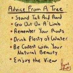 Neroyn1's profile picture. 