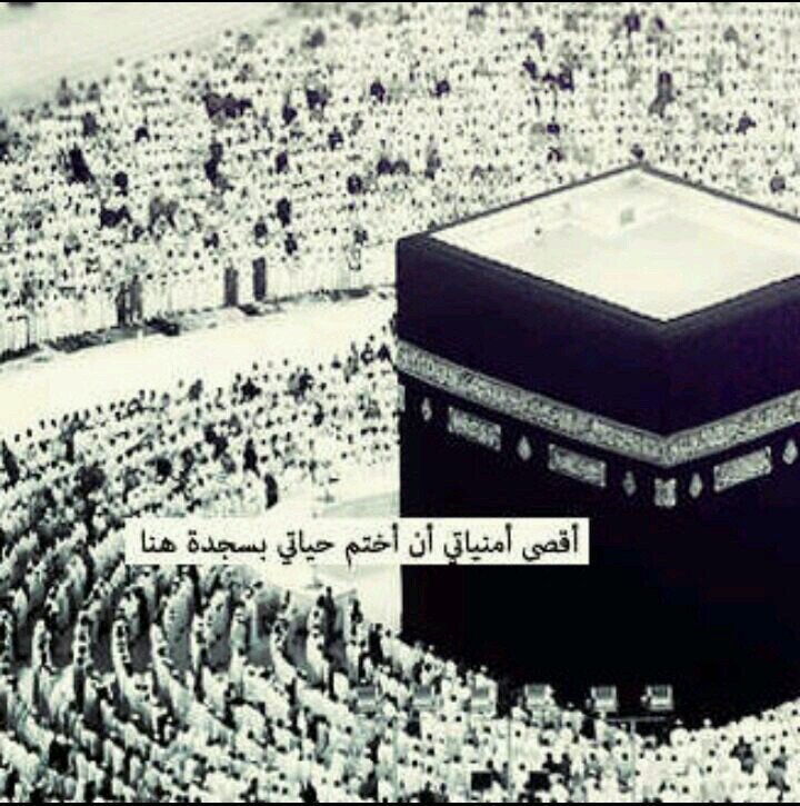 ‏‏‏اللهم إنا نسألك زيادة في الدين، وبركة في العمر، وصحة في الجسد، وسعة في الرزق، وشهادة عند الموت .
