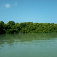  بنت جزيرة فرسان (@lmoorh7777) 's Twitter Profile