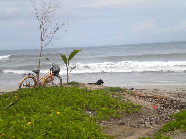 LynnAnnZ's profile picture. 