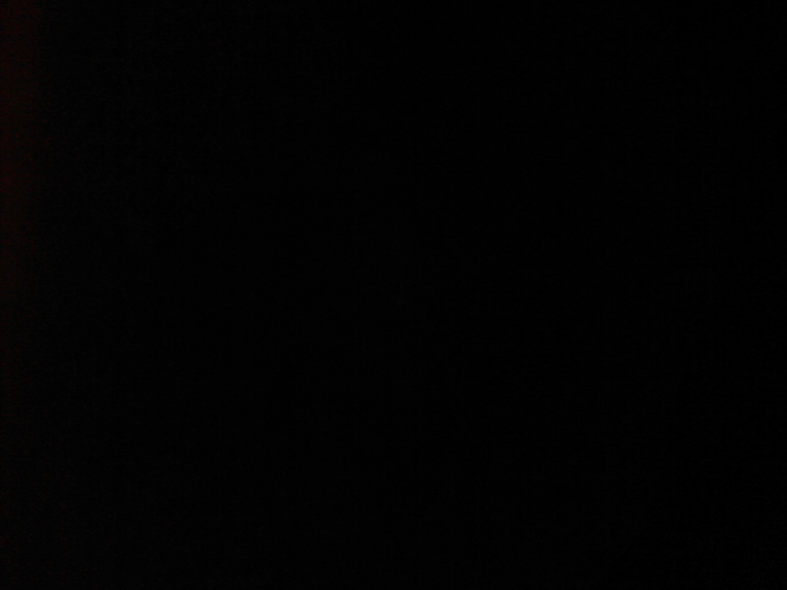 LalaLesx3 Profile Picture