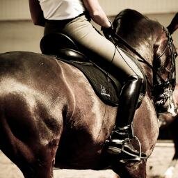 Natural Human Horse...