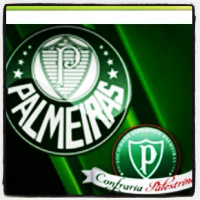 Temos a missão de constituir-se como uma entidade pertencente ao quadro de conselheiros do Palmeiras para contribuir com ideias que tragam beneficios ao clube.