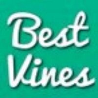 6秒で笑える動画【傑作集】 (@six__second) 's Twitter Profile