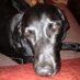 Carley Piper (@66chappellst) Twitter profile photo