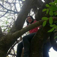 Lau Oporto (@laurioportol) 's Twitter Profile