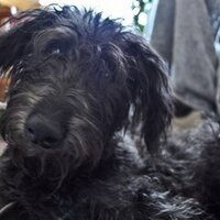 Helen Kurki (@anthrokurki) 's Twitter Profile