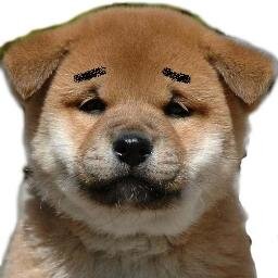 とむやんぷ Tomyampoo Twitter とむやんぷ Tomyampoo Twitter