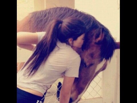 ابي الفولو هنا آسعدني ربي يسعد قلبك @vctooria ♡