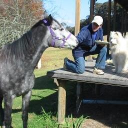 Horse Riding, Trail Riding