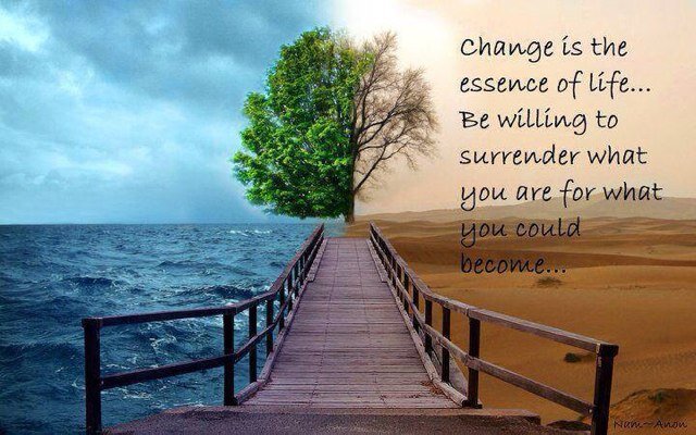 Substance Abuse Professional.  Addiction Services