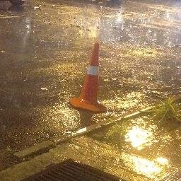 LunaMaximus's profile picture. 