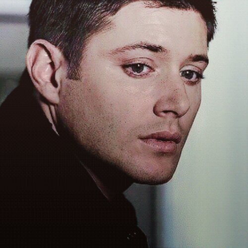 DeanW_krbot's profile picture. 딘 윈체스터 / 개인 반자동봇 / 캐붕, 개인해석 있음 / 드라마의 대사를 한시간에 한 번씩 자동으로 트윗하며, 자정부터 오전 7시까지 트윗이 멈춥니다