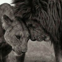 Paula Aparicio (@paulaaparicio13) 's Twitter Profile