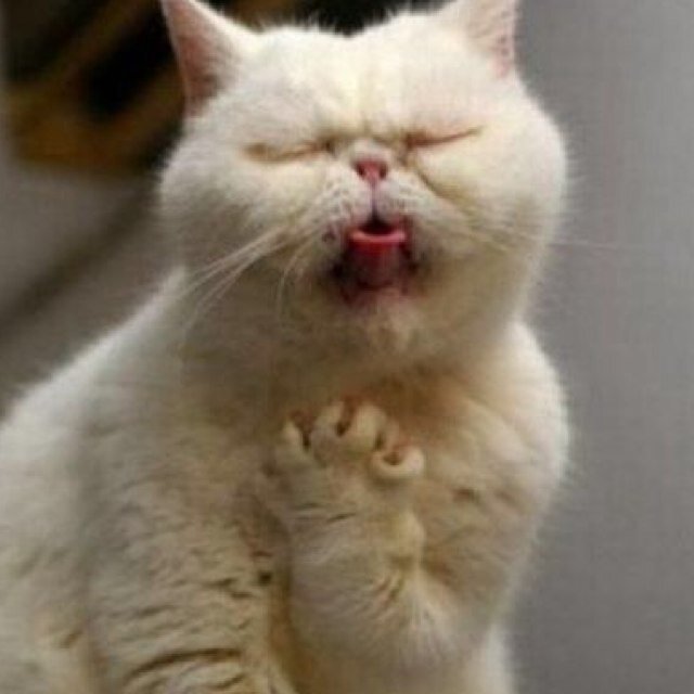 Sinitaikirai's profile picture. 思ったこと書くだけ