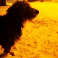 Frank Bart  (@bart1705) 's Twitter Profile Photo