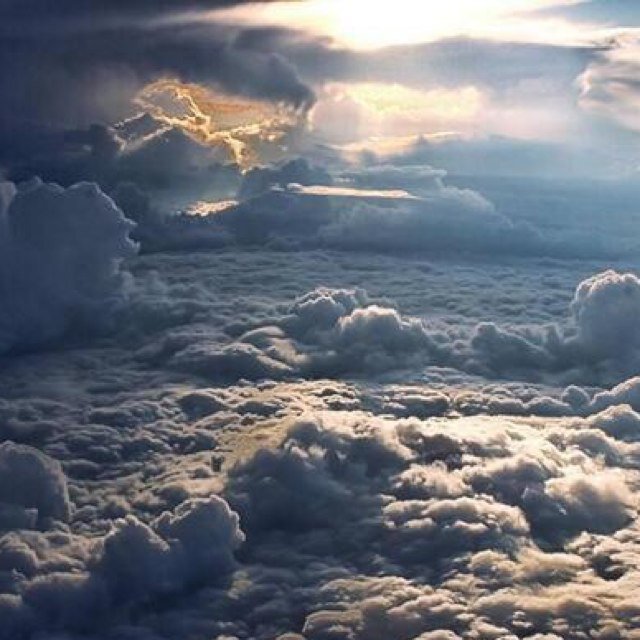 Amazing Images & Fun Facts