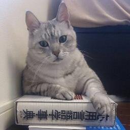 Pragmatics, Language and Culture, Intercultural Communicationに関わる仕事をしています。時々翻訳。たまに数学。ブックマンション　「きたっ」にも出店中。横浜在住。