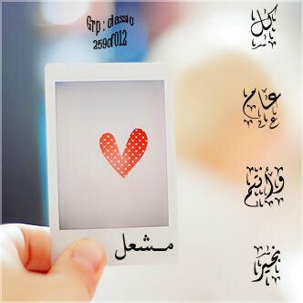 ma_sh2000 Profile Picture