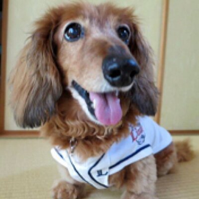 俺達