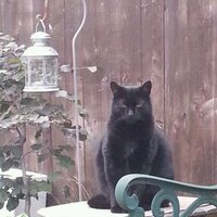 linda (@lin64) 's Twitter Profile