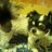 maro0825love