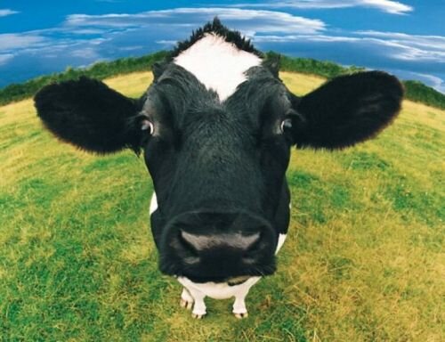 NandagramEco's profile picture. Fledgling #EcoVillage project based in Kwa-Zulu Natal, #SouthAfrica Simple living, high thinking