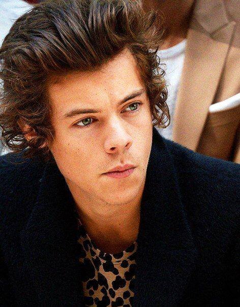 Hi,I from Narnia :'3 Yea,I'm proud Directioner,problem?My fave boy is Harry :3 Follow me,I'll Follow you back :**