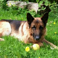 Diane (@dianedarcy12) 's Twitter Profile Photo