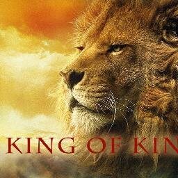 tracylago's profile picture. 