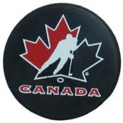 hockey fan