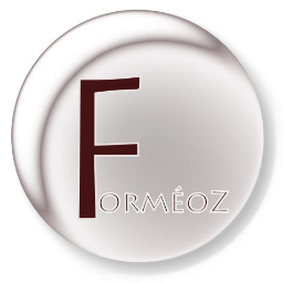 Formeoz's profile picture. Centre de formation sur Ales, en Logistique, en Bureautique, sur Ms Project & en Tutorat