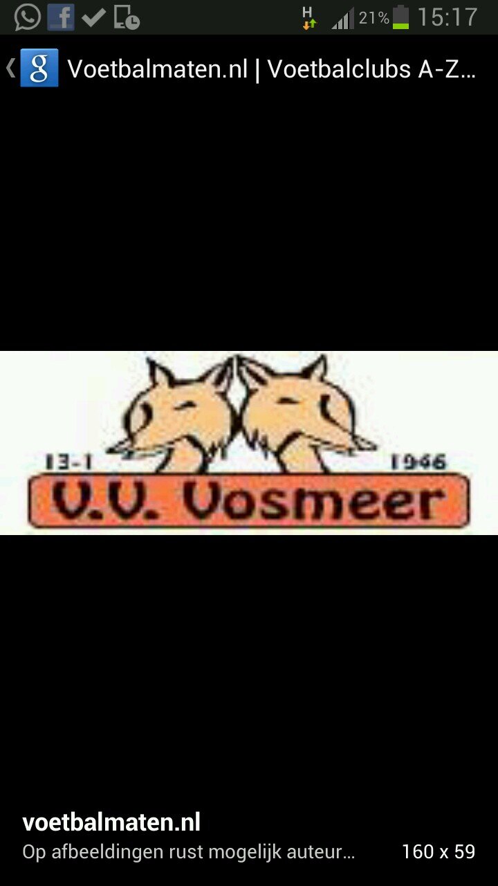 problemen zijn er om op te lossen op lossen doen wij samen samen zijn wij èèn team wij zijn VOSMEER B1