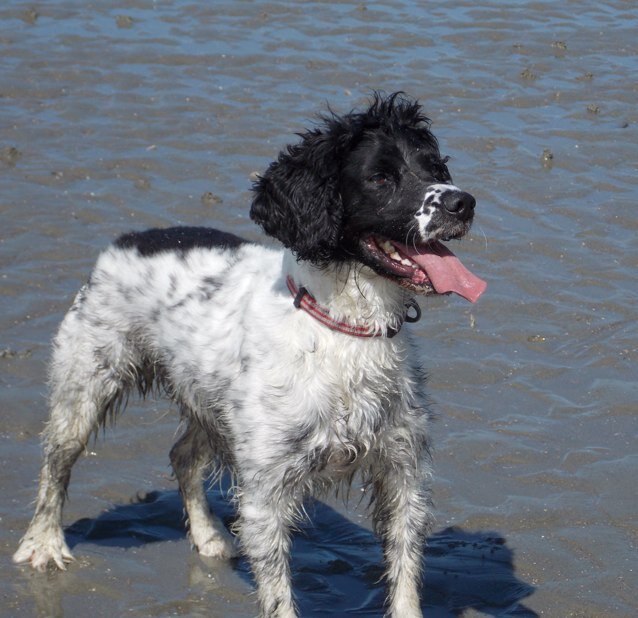 JudithGover's profile picture. 