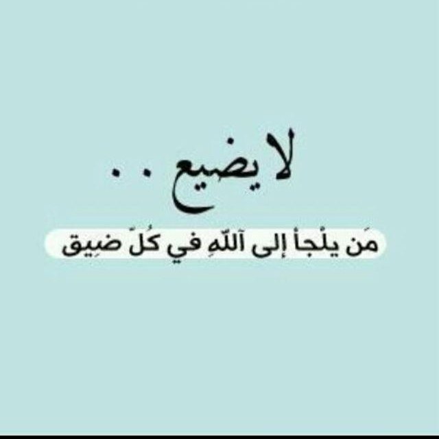 ‏سويت لك فولو ؟ لا تسوي فولو هنا ، سوي فولو لهذا الحساب ‎@beetoo_0101‏