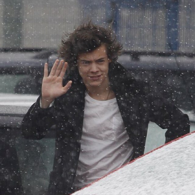 curlyboystyles_'s profile picture. cute as a button every single one of you.... ❄️⛄️❄️⛄️