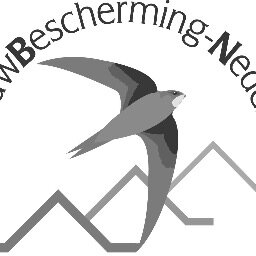 GBN zet zich in voor de bescherming van gierzwaluwen, door het zonder verstoren van de nesten, monitoren van de broedende vogels met camera's.