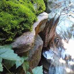 zhengdingqiao's profile picture. 