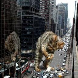 discreto16's profile picture. 