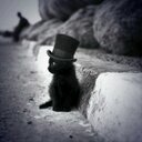 Holla die Waldfee (@007oderso) Twitter