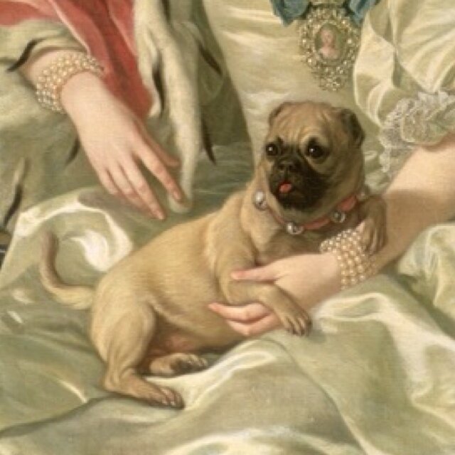 sirukotto0's profile picture. DA-4627-1509-0664