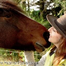 VerzorgerPaard's profile picture. De Paarden Oppas Service is een bemiddelingsdienst. Wij leveren een ervaren hippische verzorger die tijdens uw vakantie uw huis en have verzorgt.