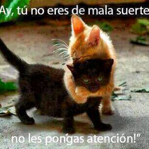 Aun de pie
