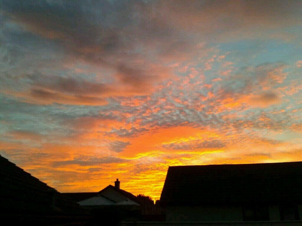 Before I become dust want ppl to think for themselves about the nonsense of invisible gods heaven hell angels etc look after the planet for ppl in future.Enjoy.