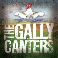 The Gally Canters (@gallycanters) 's Twitter Profile