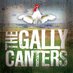 The Gally Canters (@gallycanters) Twitter profile photo The Gally Canters (@gallycanters) Twitter profile photo