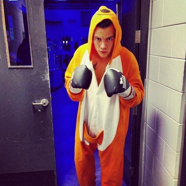 Please follow @harrysababy i follow back if you ask nicely 
My goal is 10k ily