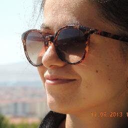Adnan Menderes Unıversity
Postgraduate