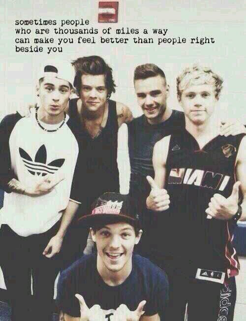Directioner,Belieber, Lovatic e Mixer :)