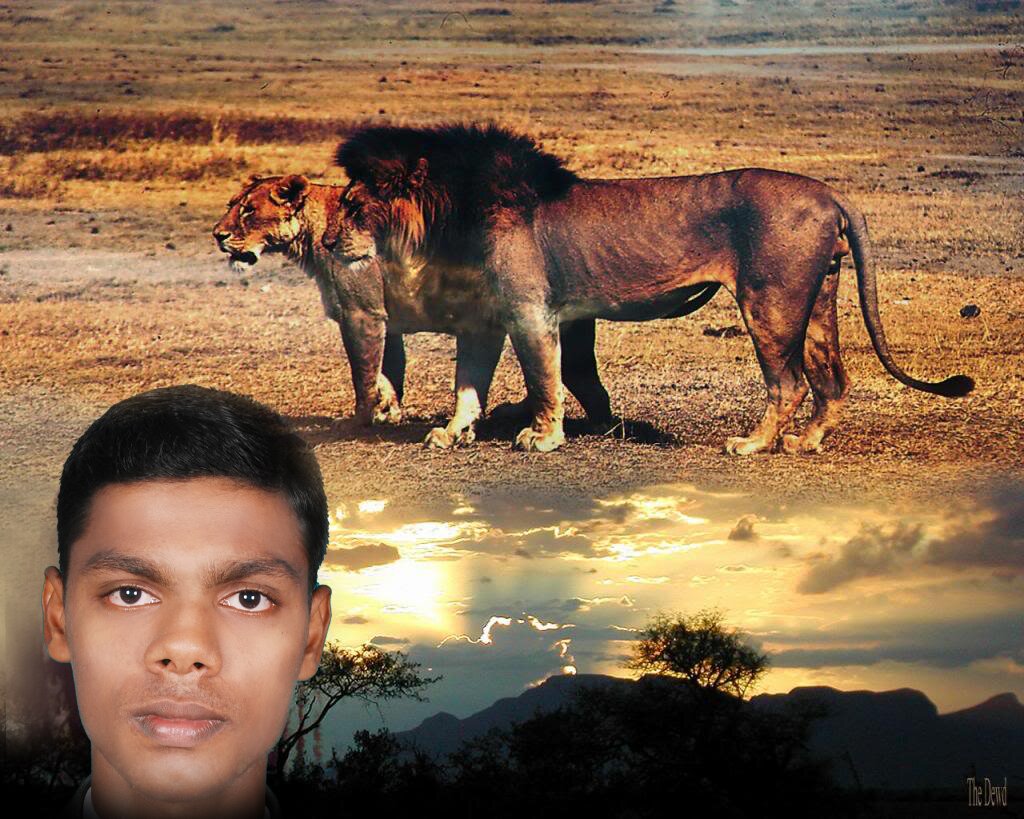 mbmmani1988 Profile Picture